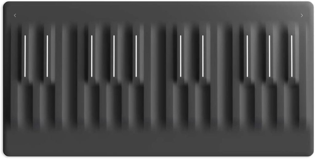 Roli Seaboard Block
